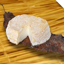 LE MOTHAIS SUR FEUILLE DE CHATAIGNER